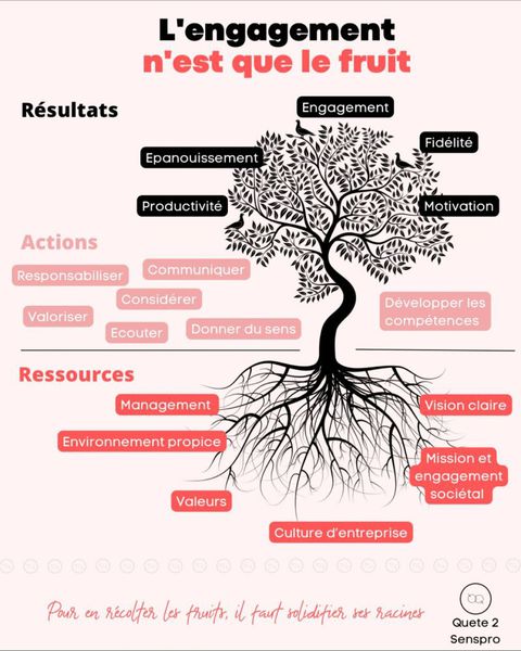 infographie Quête 2 senspro